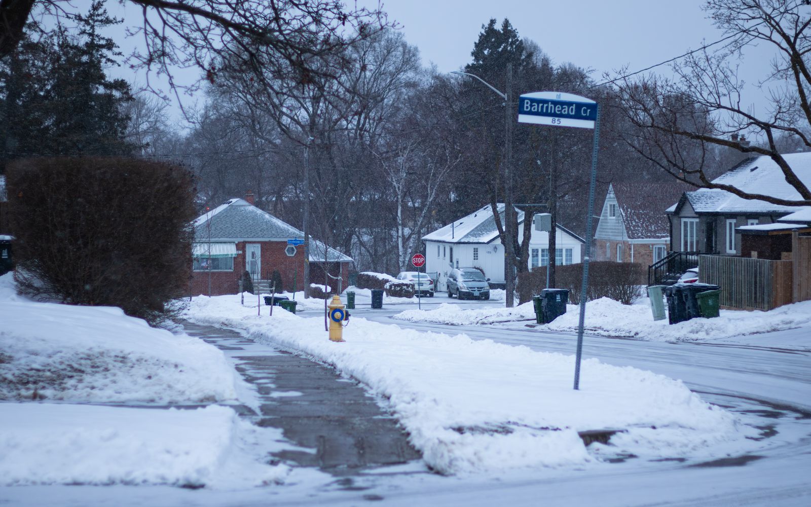 Snowy Canadian residential neighbourhood